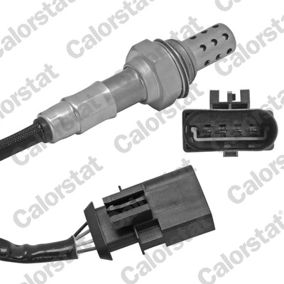 Oxygen Sensor